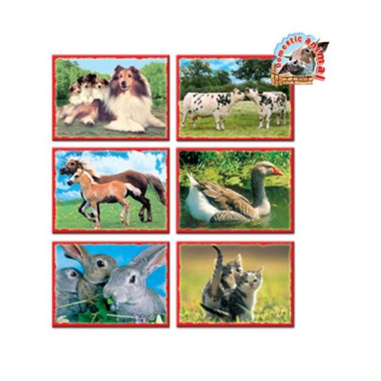 Skladacie obrázkové kocky 12 ks domáce zvieratká Zelená