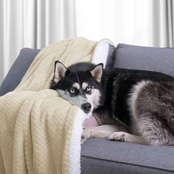 Deka SHLEEPY farba béžová lisovaná žakárovo klasický štýl 130x180