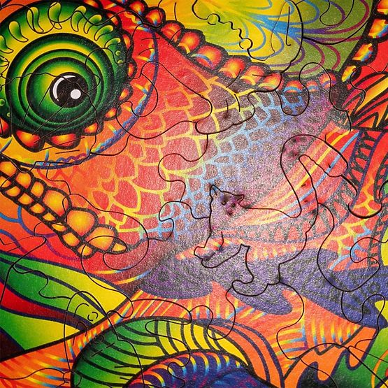 Farebné drevené puzzle - chameleón