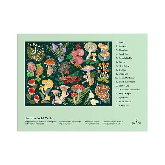 Galison Puzzle Svet húb 1000 dielikov