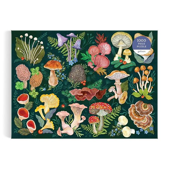 Galison Puzzle Svet húb 1000 dielikov