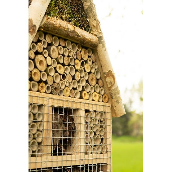 Hmyzí domček - hotel XXL