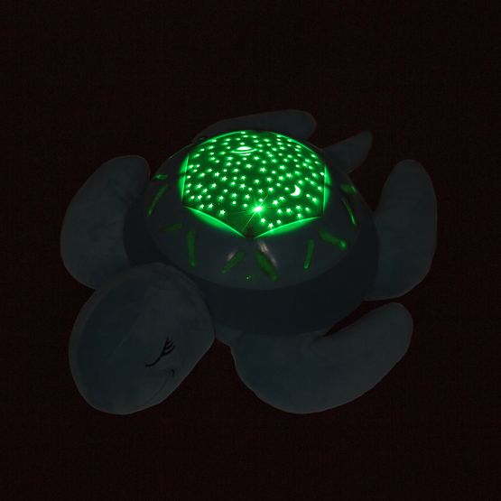 Kámoš na spanie - korytnačka