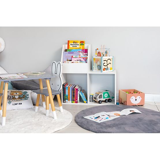 Knižnica s regálom