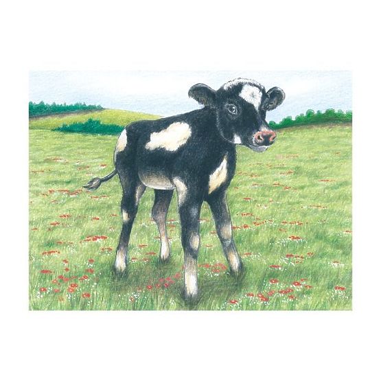 Kockové puzzle s ovečkou