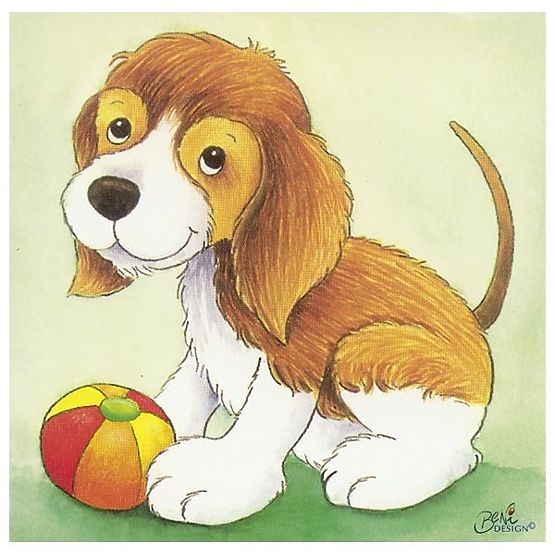 Kocky s obrázkami zvieratiek