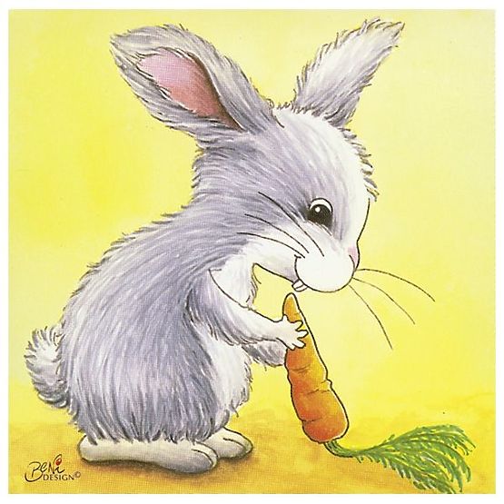 Kocky s obrázkami zvieratiek