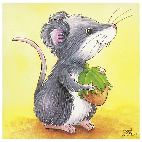 Kocky s obrázkami zvieratiek