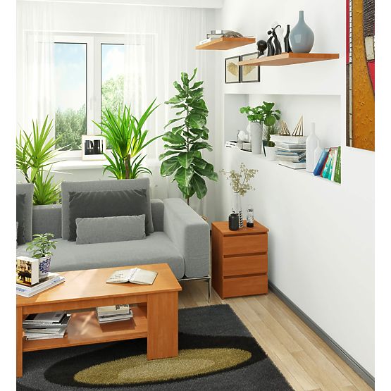 KOMODA CL3/40 PK JELŠA