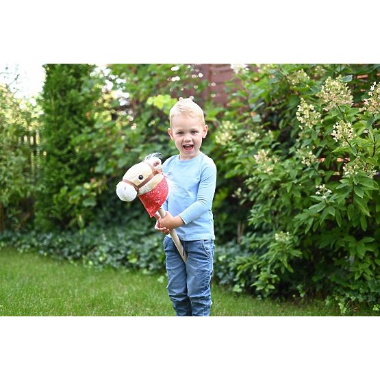 Koník na tyči Achaľ Hobby Horse