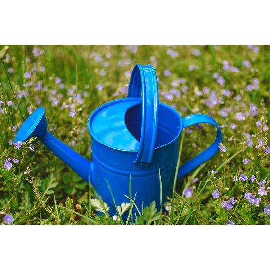 Kropiaca konvička modrá