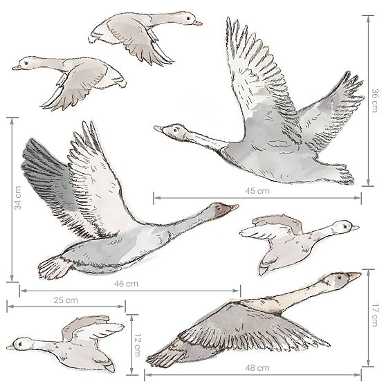 Nálepky na stenu - kŕdeľ lietajúcich husí