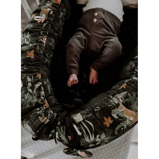 Obojstranné hniezdo Život v lese