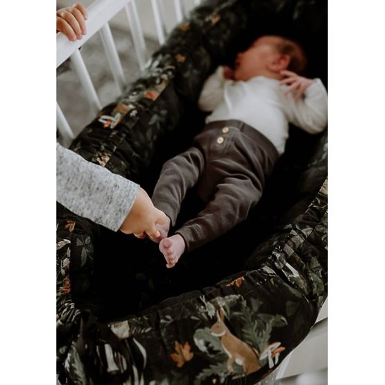 Obojstranné hniezdo Život v lese