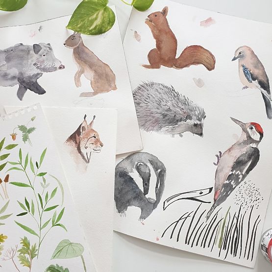 Obojstranné hniezdo Život v lese