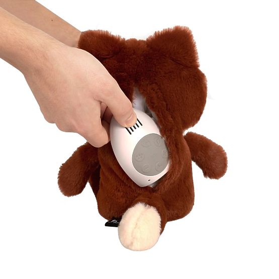 Oranžová líška s tlkotom srdca FLOW