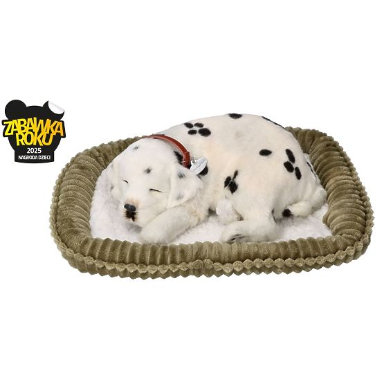 Perfect Petzzz Adoptujte dýchajúceho dalmatína