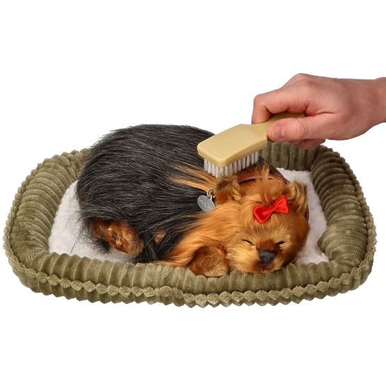 Perfect Petzzz Chrápajúce šteniatko York