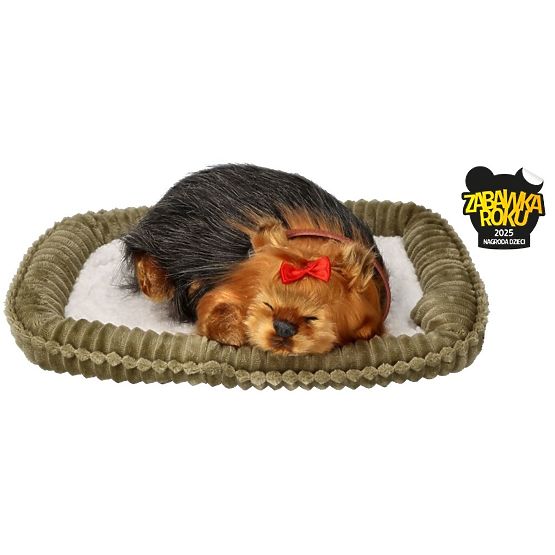 Perfect Petzzz Chrápajúce šteniatko York
