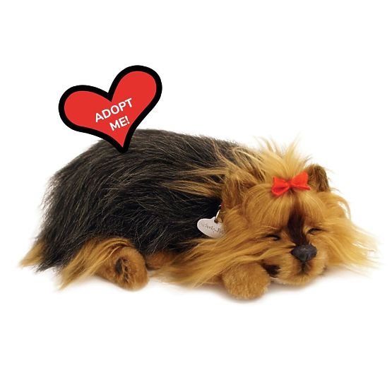 Perfect Petzzz Chrápajúce šteniatko York