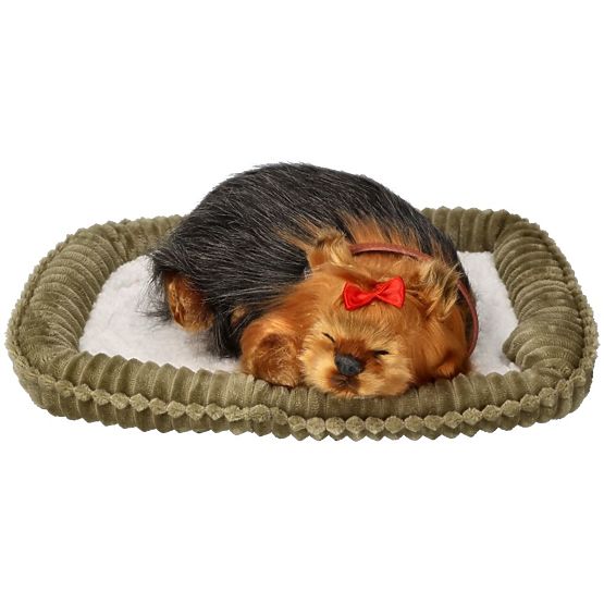 Perfect Petzzz Chrápajúce šteniatko York