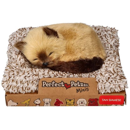 Perfect Petzzz Malé siamské mačiatko