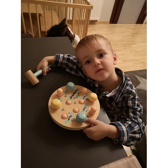 Prehadzovačka mrkvové pole