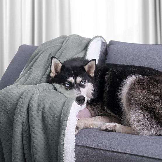 Prehoz SHLEEPY sivá farba s žakárovým vzorom klasický štýl 220x240