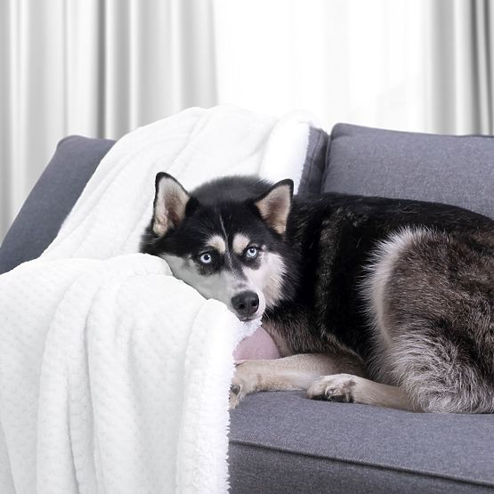 Prikrývka SHLEEPY farba biela s žakárovým vzorom klasický štýl 130x180