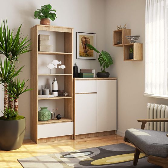 REGÁL R60 1SZ 4P CLP PK DUB SONOMA / BIELA