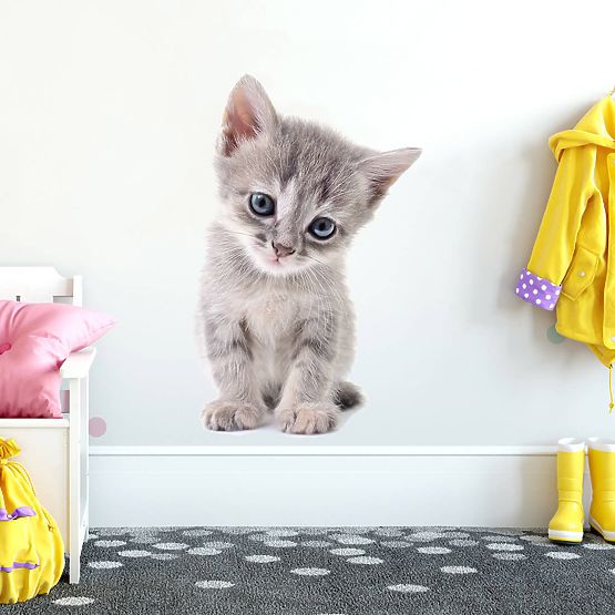 Samolepka na stenu - Mačiatko
