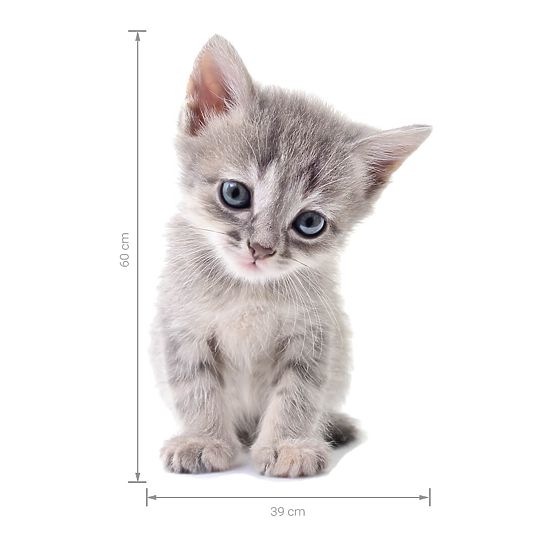 Samolepka na stenu - Mačiatko