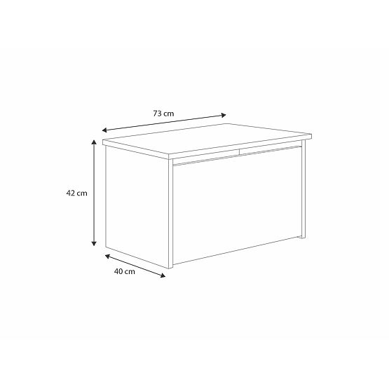 Truhlica na hračky Daria biela s potlačou Princezná