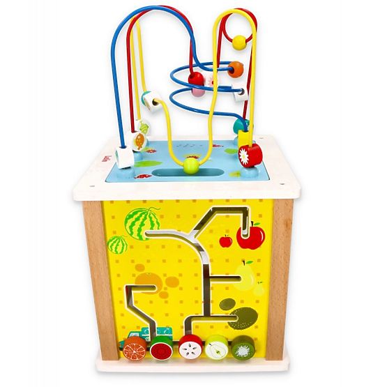 Vzdelávacie hračka 5v1 - Príroda