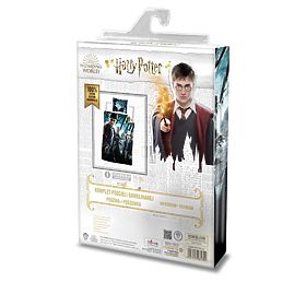 Detské obliečky 140x200 cm + 70x90 Harry Potter