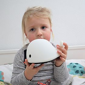 Kliknite pre zväčšenie